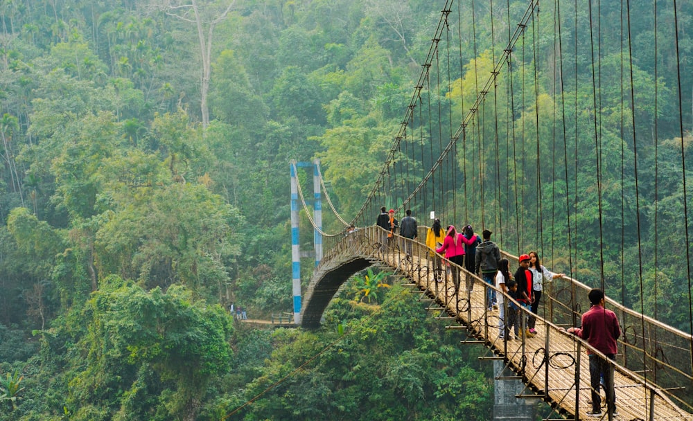 Meghalaya Living Root Bridge