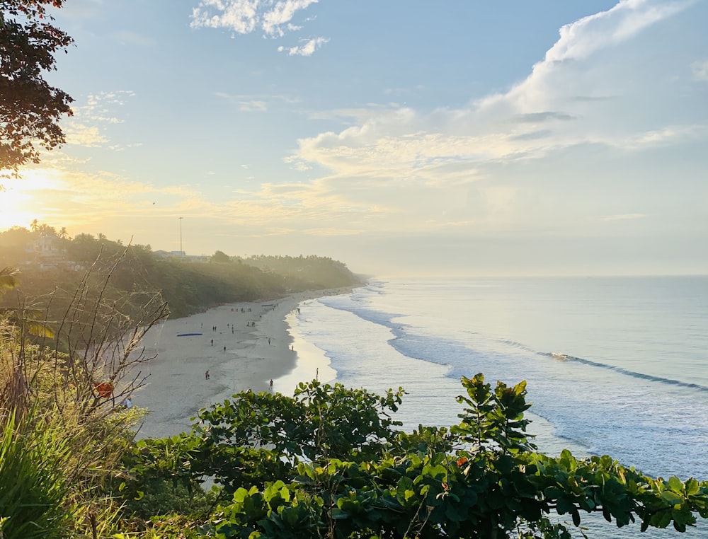Varkala Cliff and Beach View